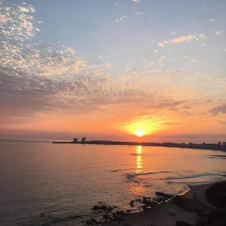 La Petite - Face Apartamento